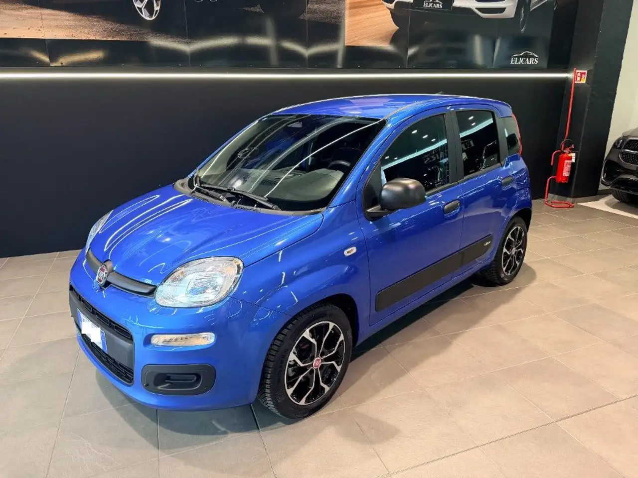 Fiat Unknown