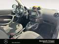 smart forTwo fortwo passion twinamic NAVI*SHZ* Blanc - thumbnail 15