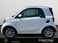 smart forTwo fortwo passion twinamic NAVI*SHZ* Blanc - thumbnail 2