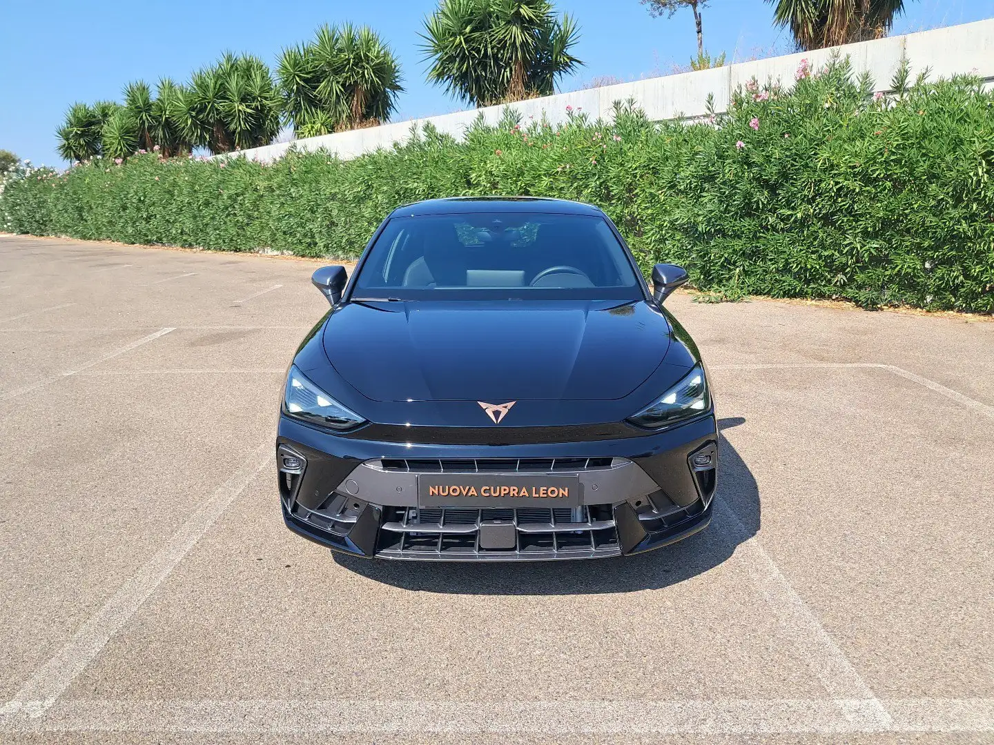 CUPRA Leon Leon 2.0 TDI 150 CV DSG Noir - 1