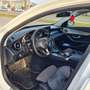 Mercedes-Benz C 220 d 4MATIC Aut. - thumbnail 12