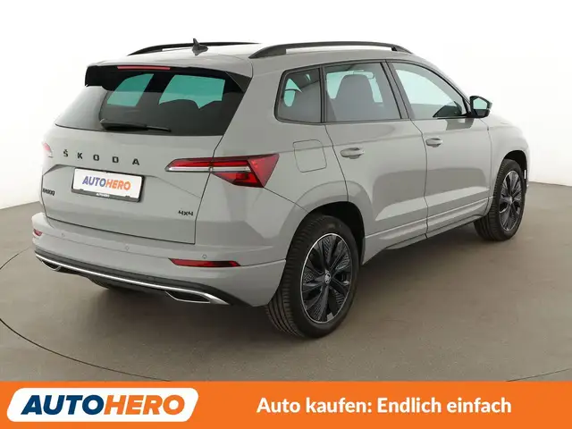 Skoda Karoq view 6