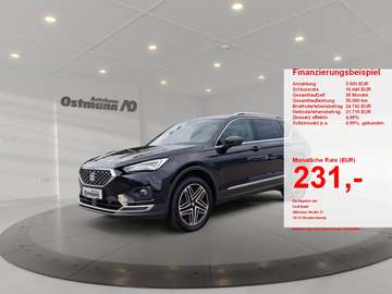 2.0 TDI 4Drive Xcellence 4xSHZ ACC AHK