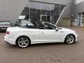 Audi A5 A5 Cabrio 45 TFSI quattro S-line S-tronic S-line Weiß - thumbnail 6