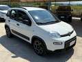 Fiat Panda 1.0 firefly Hybrid City Life Bianco - thumbnail 2