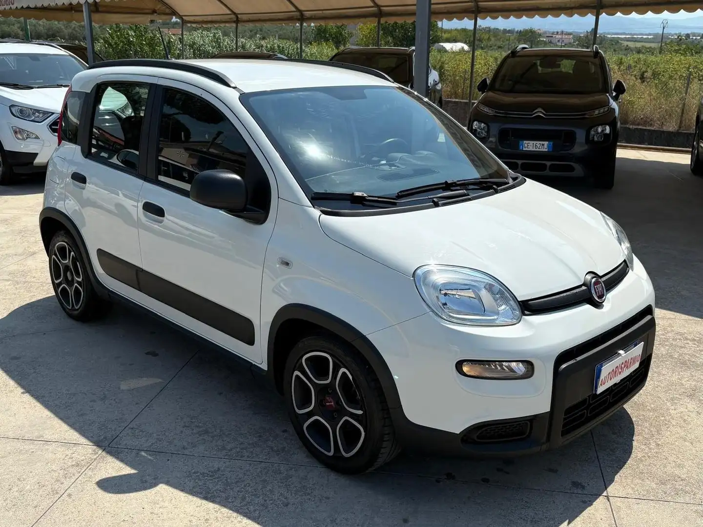 Fiat Panda 1.0 firefly Hybrid City Life Bianco - 2