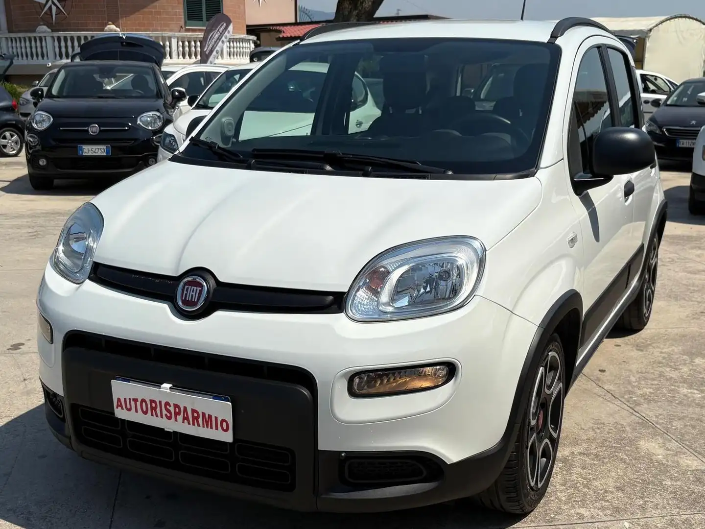 Fiat Panda 1.0 firefly Hybrid City Life Bianco - 1