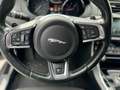 Jaguar XE R-Sport*GETRIEBESCHADEN* Grau - thumbnail 13