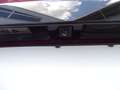 Nissan Townstar Kombi DIG-T 130 L1 Tekna Navi+SHZ+360 Rot - thumbnail 9