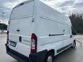 Fiat Ducato 2,3 130 cv Bianco - thumbnail 1