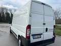 Fiat Ducato 2,3 130 cv Bianco - thumbnail 3