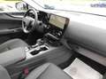 Lexus NX 300 2ª serie Plug-in 4WD Premium + Bianco - thumbnail 14