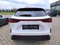 Lexus NX 300 2ª serie Plug-in 4WD Premium + Bianco - thumbnail 5
