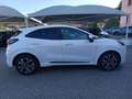 Ford Puma 1.0 EcoBoost Hybrid 125 CV S&S ST-Line Bianco - thumbnail 8