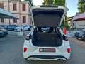 Ford Puma 1.0 EcoBoost Hybrid 125 CV S&S ST-Line Bianco - thumbnail 9