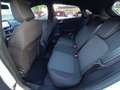 Ford Puma 1.0 EcoBoost Hybrid 125 CV S&S ST-Line Bianco - thumbnail 13