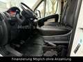 Citroen Jumper Kasten 33 L2H1 Profi BlueHDi 130 Weiß - thumbnail 14