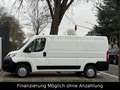 Citroen Jumper Kasten 33 L2H1 Profi BlueHDi 130 Weiß - thumbnail 6
