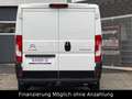 Citroen Jumper Kasten 33 L2H1 Profi BlueHDi 130 Weiß - thumbnail 4