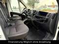 Citroen Jumper Kasten 33 L2H1 Profi BlueHDi 130 Weiß - thumbnail 12
