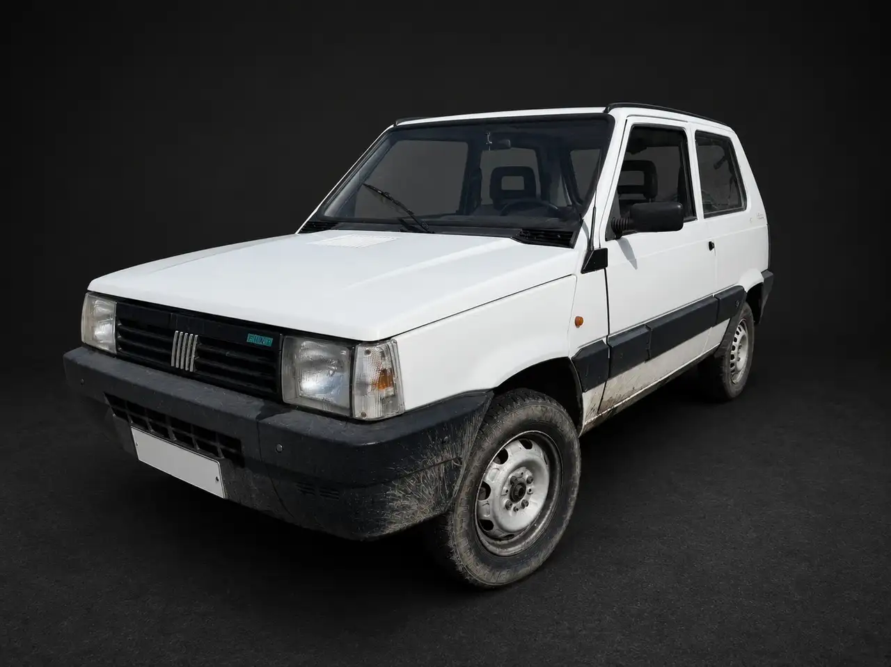Fiat Panda 1.1 Fire Trekking 4x4 cat., foto 2