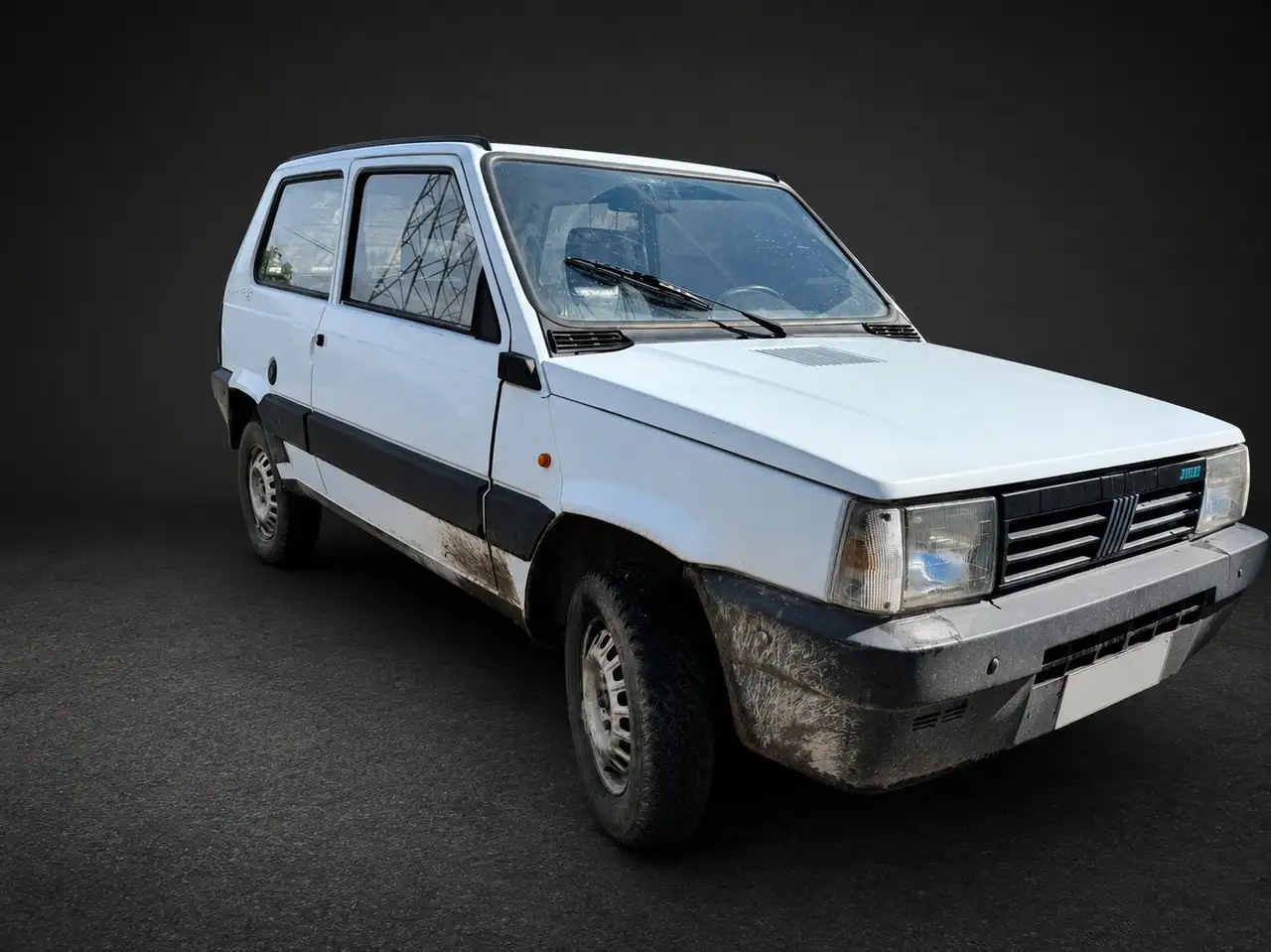 Fiat Panda 1.1 Fire Trekking 4x4 cat., foto 3