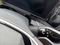 Skoda Kodiaq RS 2.0 TSI 4x4 DSG 4xSitzheizung Kamera Gris - thumbnail 9