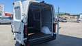 Nissan Interstar KaWa L2H2 3,5dCi Tekna Weiß - thumbnail 5