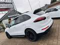 Porsche Cayenne Diesel Platinum Edition Blanc - thumbnail 5