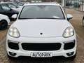 Porsche Cayenne Diesel Platinum Edition Blanc - thumbnail 2