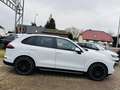 Porsche Cayenne Diesel Platinum Edition Blanc - thumbnail 7