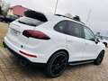 Porsche Cayenne Diesel Platinum Edition Blanc - thumbnail 6