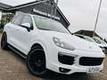 Porsche Cayenne Diesel Platinum Edition Blanc - thumbnail 1