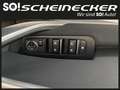 Kia Ceed / cee'd ceed 1,0 T-GDI GPF Silber Schwarz - thumbnail 11