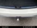 Mercedes-Benz C 200 C 200 T EDITION AVANTGARDE PANO AHK DISTRO 360 Weiß - thumbnail 12