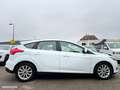 Ford Focus 1.0 ECOBOOST 125CH STOP&START TITANIUM Blanc - thumbnail 13