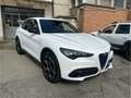 Alfa Romeo Stelvio Stelvio 2023 2.2 t Veloce Q4 210cv auto Bianco - thumbnail 1