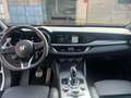 Alfa Romeo Stelvio Stelvio 2023 2.2 t Veloce Q4 210cv auto Bianco - thumbnail 9