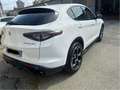 Alfa Romeo Stelvio Stelvio 2023 2.2 t Veloce Q4 210cv auto Bianco - thumbnail 6