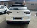 Alfa Romeo Stelvio Stelvio 2023 2.2 t Veloce Q4 210cv auto Bianco - thumbnail 5