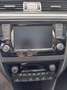 Skoda Rapid/Spaceback Edition Blau - thumbnail 6