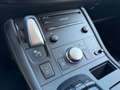 Lexus CT 200h 25th Edition, NAP, Camera, Navi Gris - thumbnail 18