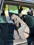 Volkswagen Sharan Business - thumbnail 10