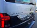 Volkswagen Ocean 2.0TDI 150cv DSG7 T6.1 TVA RECUPERABLE - thumbnail 7