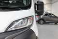 Fiat Ducato 35 2.2 Mjt 140CV AT9 PLM-SL Cassonato-CAR PLAY Weiß - thumbnail 15