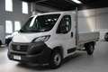 Fiat Ducato 35 2.2 Mjt 140CV AT9 PLM-SL Cassonato-CAR PLAY Weiß - thumbnail 1