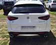 Alfa Romeo Stelvio Stelvio 2020 2.2 t Business Q4 190cv auto Blanc - thumbnail 3