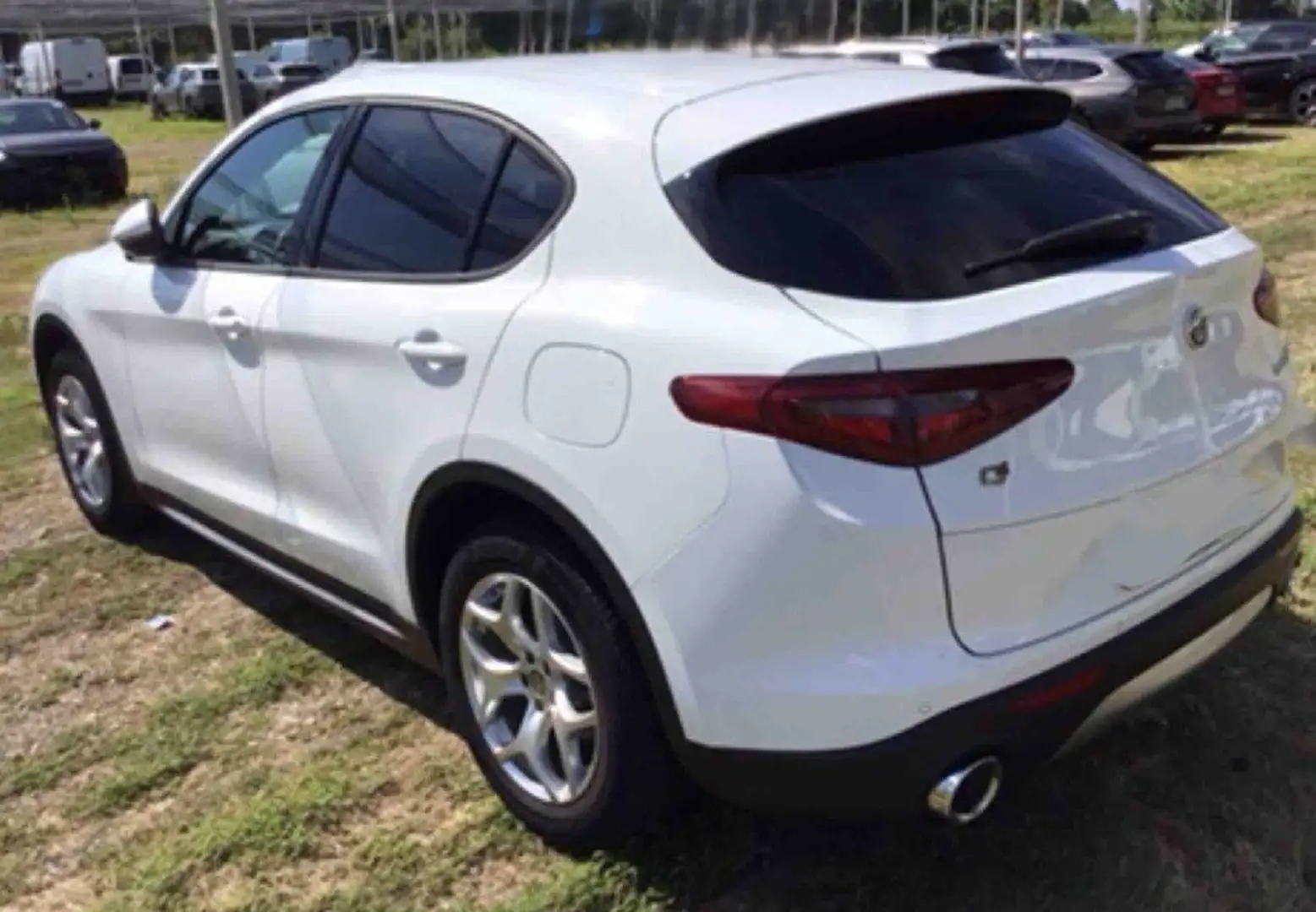 Alfa Romeo Stelvio Stelvio 2020 2.2 t Business Q4 190cv auto Blanc - 2