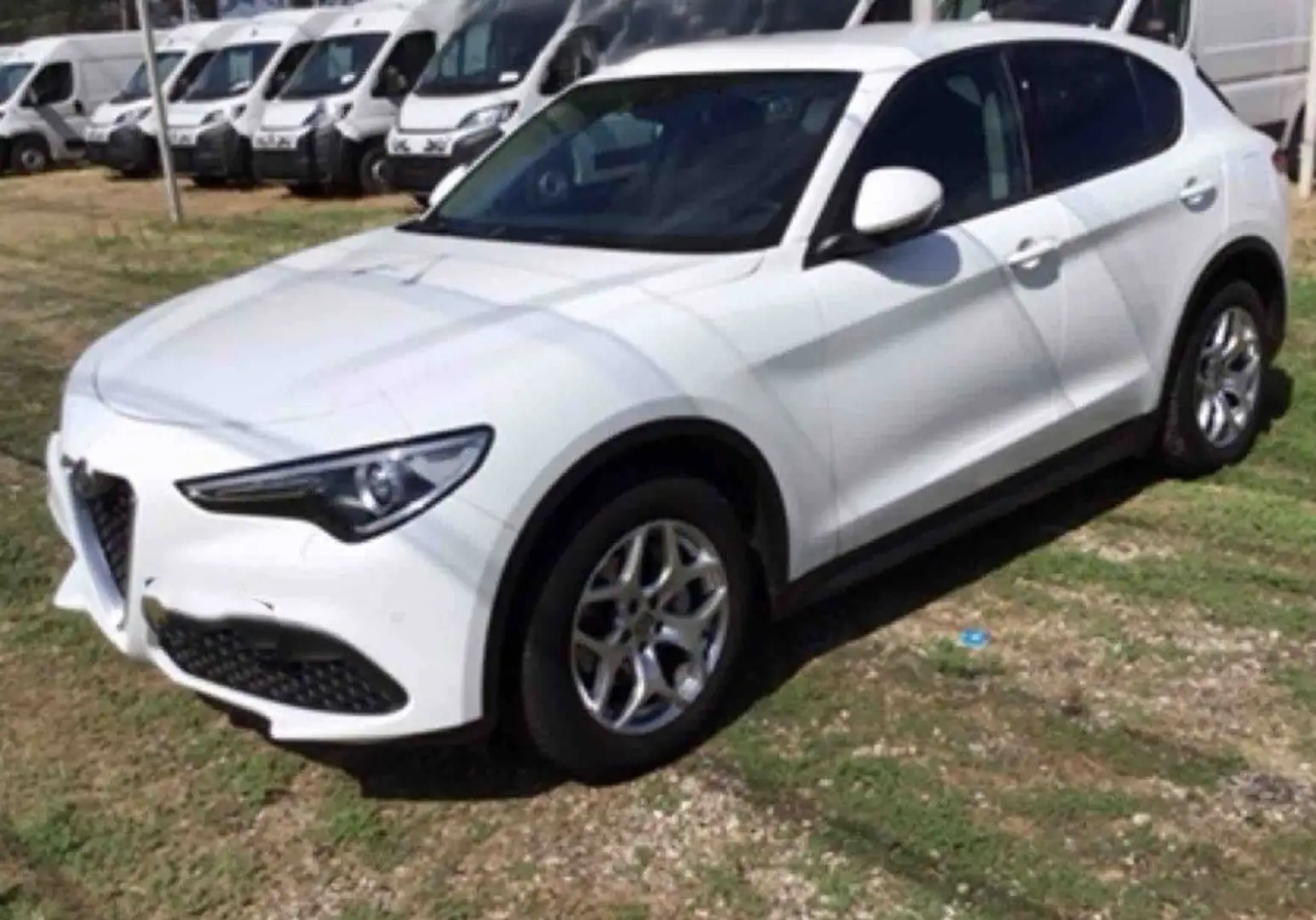 Alfa Romeo Stelvio Stelvio 2020 2.2 t Business Q4 190cv auto Blanc - 1