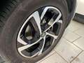 Citroen C5 Aircross Aircross Live Blanc - thumbnail 6